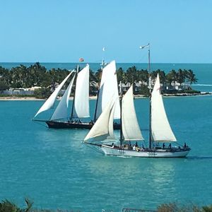 Meet your Posher, Suzanne